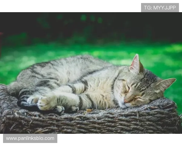 大田中锋千成薰性侵案获无罪判决本轮起重返赛场引发热议